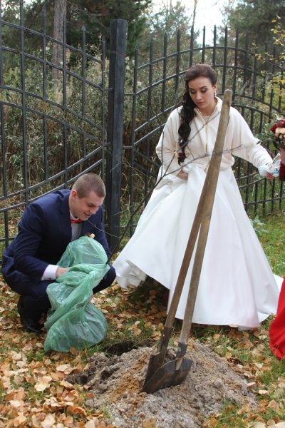 Всемирный день посадки деревьев