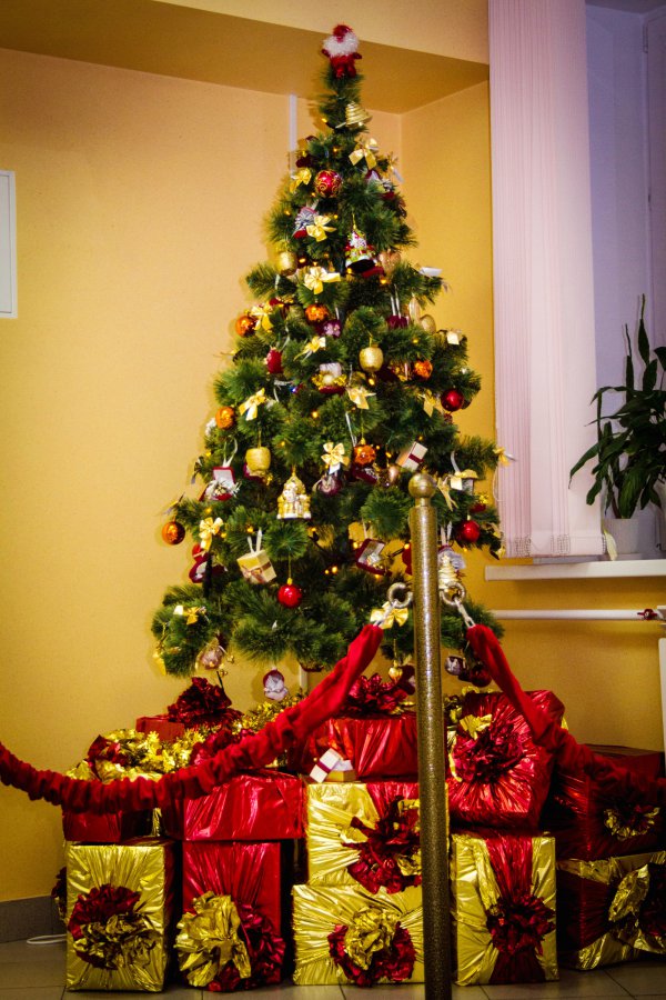 Лекционный Зал