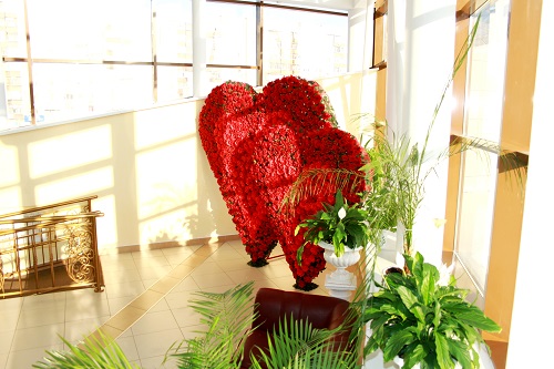 Зал фотосессии