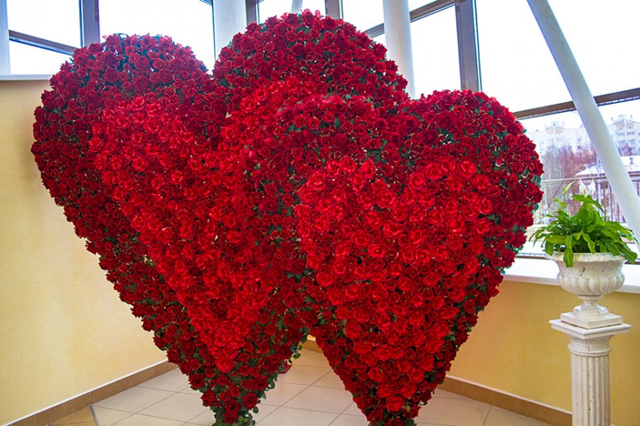 Зал фотосессий сердце