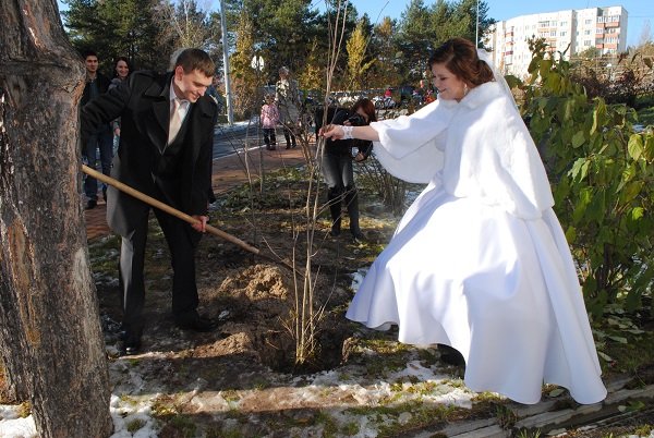 07.10.2017 года прошла экологическая акция «Единый день посадки саженцев деревьев».