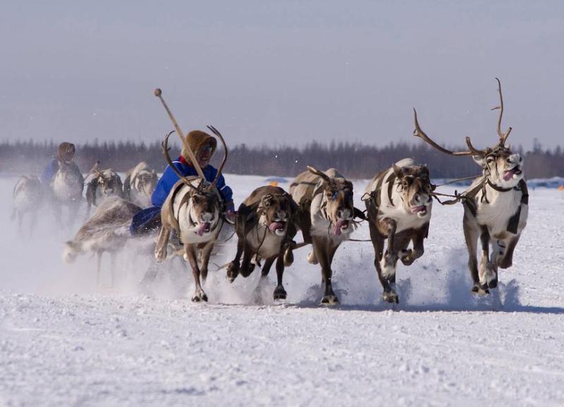 87 лет со дня образования Ханты-Мансийского автономного округа – Югры. 87 лет со дня образования Ханты-Мансийского автономного округа – Югры.