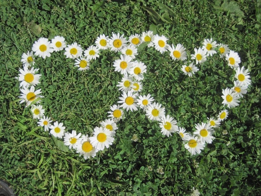 8 июля 2020 года